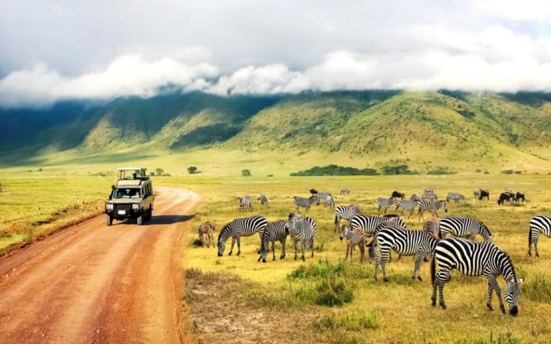 These Are 10 Most Travel-Friendly Countries In Africa To Explore