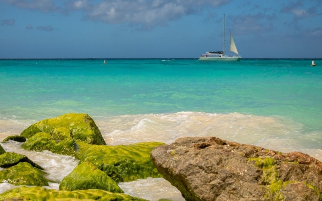 10 Best Places To Book In Aruba In 2023