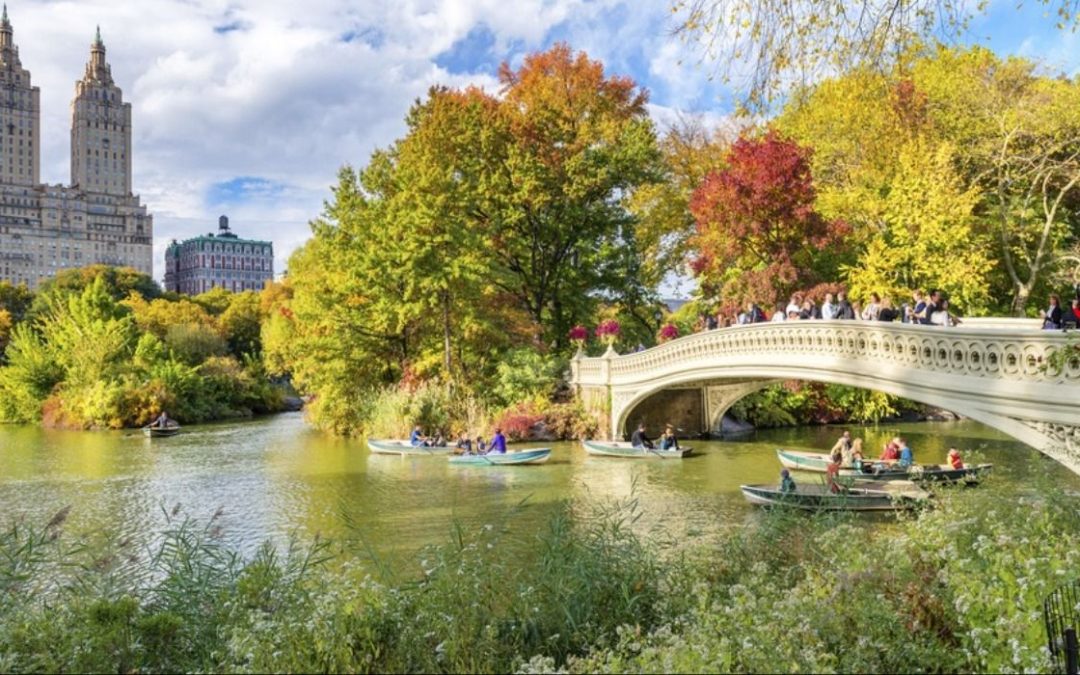 11 Amazing Things To Do In New York City During The Fall Season