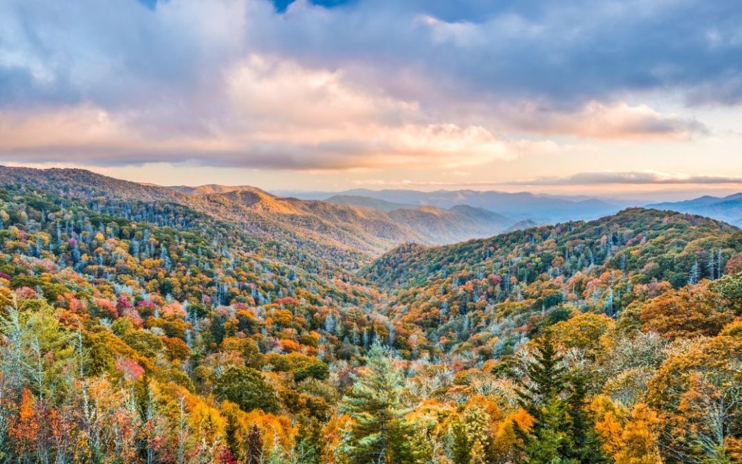 10 Scenic Sites To Set Up For Great Smoky Mountains Camping