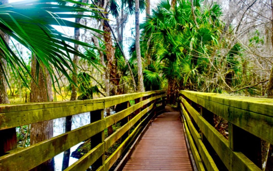 This Nature Preserve Offers Florida’s Most Scenic And Top-Rated Hike